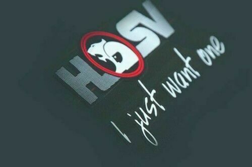 Genuine HSV E08-970309 I Just Want One Sticker Rear Window for Walkinshaw VE VF